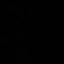 ČERNÁ - BAMBUS SINGLE JERSEY S ELASTANEM 230G