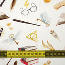 KOUZELNÝ SVĚT vz. 1 (KOUZELNÁ ŠKOLA)