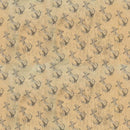 KOTVY vz. 2 (HLADINA MOŘE)