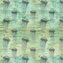 MEDÚZY (HLADINA MOŘE)