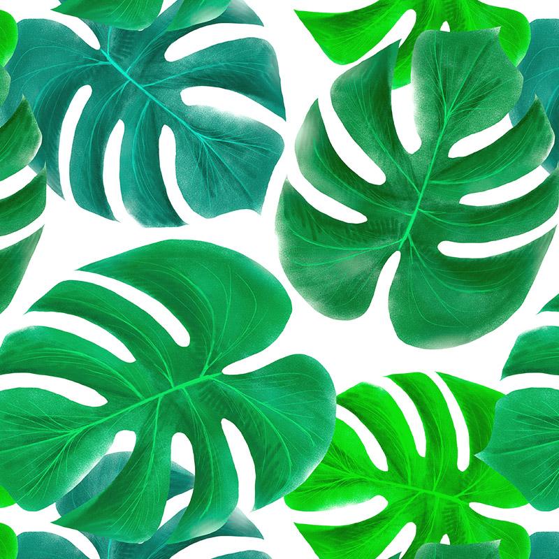 MONSTERA vz. 1 (zelená)