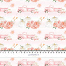 PASTELOVÉ DÝNĚ NA VOZU/ PRUHY (dýňová zahrada)