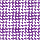 FIALOVÝ KOHOUTÍ STOPA/ BÍLÁ