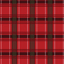 KOSTKA  VZ. 5 / červená