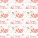 PASTELOVÉ DÝNĚ NA VOZU/ PRUHY (dýňová zahrada)