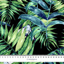 LISTY A HMYZ VZ. 6 (TROPICKÁ PŘÍRODA) / černý