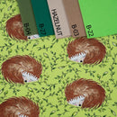 OSPALÍ JEŽCI (OSPALÁ ZVÍŘÁTKA) / zelená