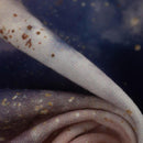 ZAČAROVANÉ OBLAKY (ZAČAROVANÁ NOC)